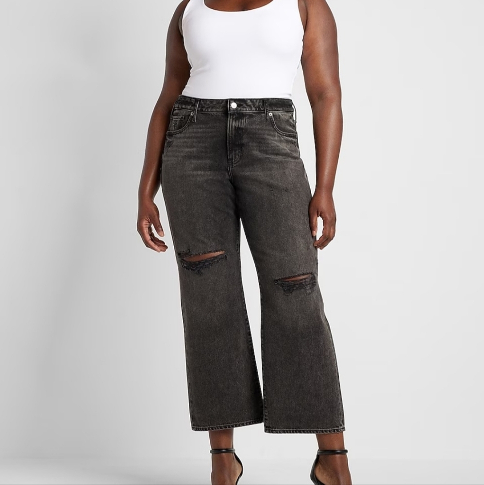 NWT Express ‘90s ankle boot mid rise jeans